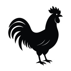 Rooster crowing silhouette isolated on white