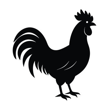 recommend clip art: Rooster crowing silhouette isolated on white