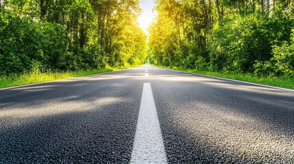 Obraz premium Scenic Road Through Lush Green Forest with Sunlight Peeking Through