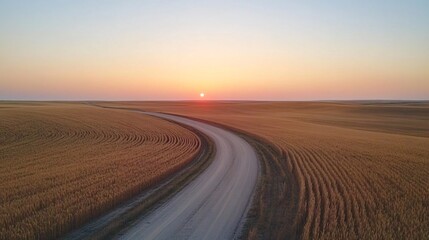 Serene Sunset Over Curved Dirt Road Amid Golden Wheat Field