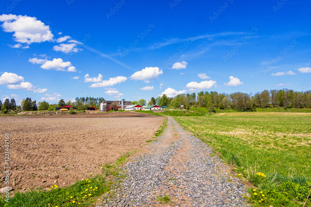 Wall mural Dirt road on fields to a farmstead in the countryside at springtime