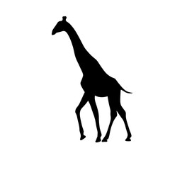 giraffe silhouette