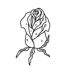 Valentine’s Day Rose Clipart Set – Hand-Drawn Floral PNG with Transparent Background