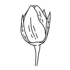 Valentine’s Day Rose Clipart Set – Hand-Drawn Floral PNG with Transparent Background