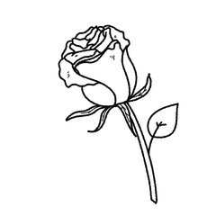 Valentine’s Day Rose Clipart Set – Hand-Drawn Floral PNG with Transparent Background