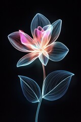 Glowing translucent flower on black background for artistic or creative projects