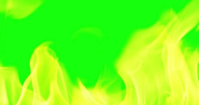 Beautiful Burning Fire Background Video Use Green Screen