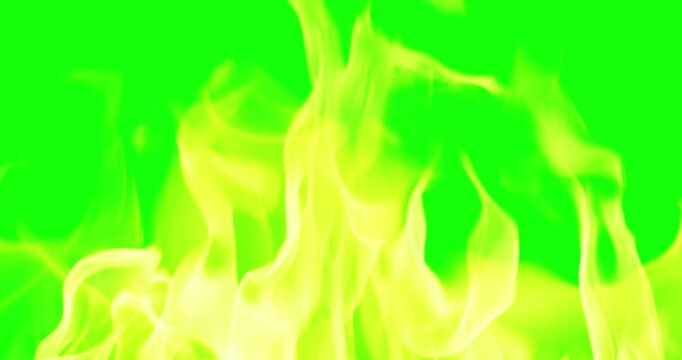 Beautiful Burning Fire Background Video Use Green Screen