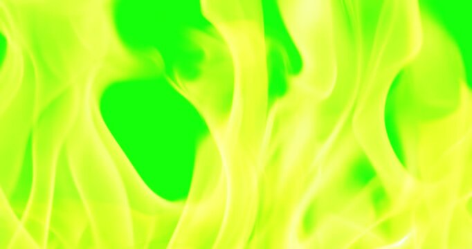 Beautiful Burning Fire Background Video Use Green Screen
