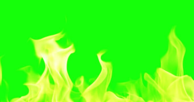 Beautiful Burning Fire Background Video Use Green Screen