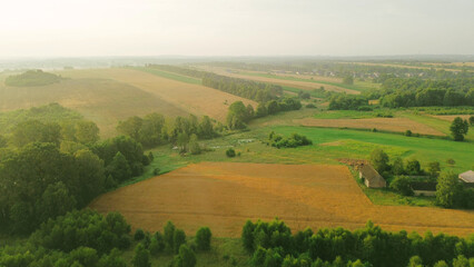 Low clouds covering autumn trees and fields at dawn