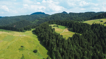 Mountainous landscape with green hills and dense forest