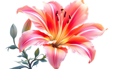 Obraz premium Botanical illustration of a stunning pink and orange flower with smooth, curved petals. The digital artwork captures the subtle color transitions and fine veins of each petal, creating a soft yet vibr