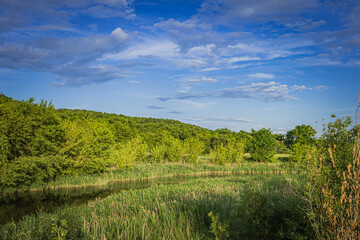 A river in the wild in summer