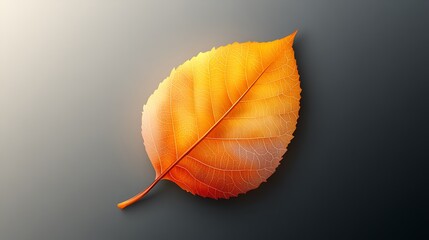 Fototapeta premium Leaf Icon on a Transparent Background