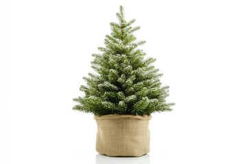 Artificial Christmas tree in a burlap sack pot isolated on a white background with reflection