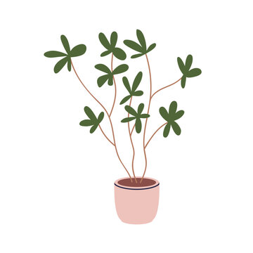 recommend clip art: Potted plant with green leaf. Indoor houseplant. Home interior greenery, tree growing in floor planter. Fresh natural foliage decoration. Flat vector illustration isolated on white background