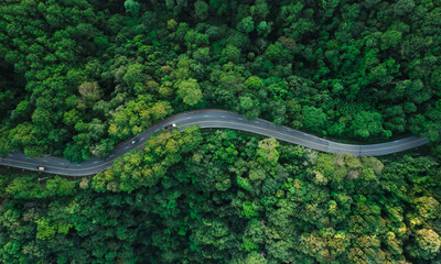 Aerial view of road and green forest at dusk. Travel and transportation with nature conservation.