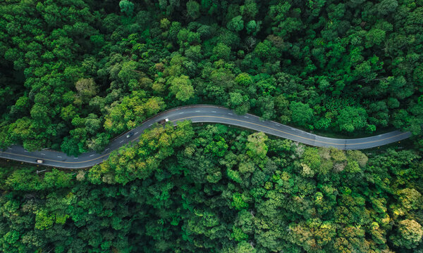 Aerial view of road and green forest at dusk. Travel and transportation with nature conservation.