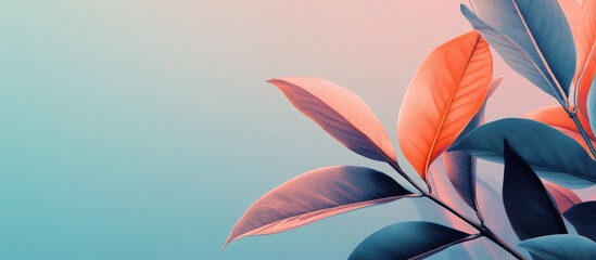 Pastel botanical elegance featuring soft pink and blue leaves on a serene gradient background with ample copy space for text overlay.