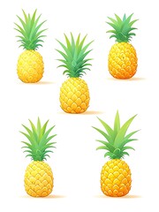 set of pineapple