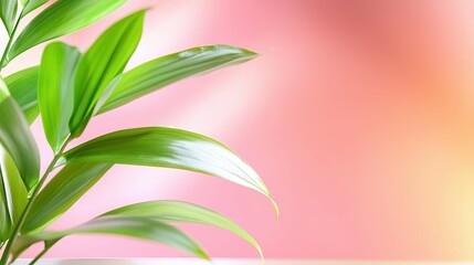 Obraz premium Lush green leaves against a soft pink backdrop.