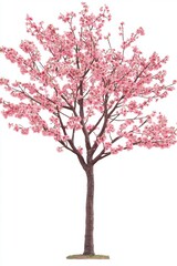 Obraz premium Beautiful Pink Cherry Blossom Tree