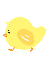 ひよこ