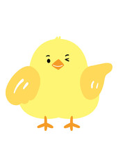 ひよこ