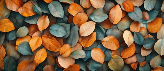 Vibrant autumn leaves in shades of orange and green arranged in a close-up view showcasing the rich textures and colors of the season