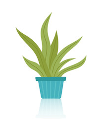Houseplant in the pot. Concept of indoor greenery, home decor, nature, botanical design, ecology, care, growth and sustainability. Vector hand drawn clipart.