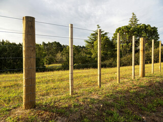 Rural Wire Fence with Wooden Posts at Green Hillside