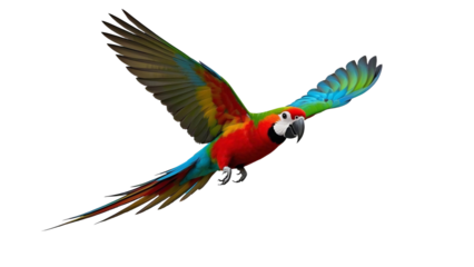 Colorful blue and yellow macaw parrot perched on a branch in a tropical nature illustration