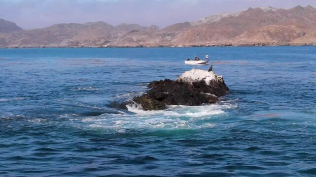 A small rocky island near Cedros Island with waves crashing and vibrant blue waters, berds perched and boat floating behind
