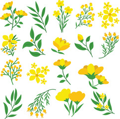 Yellow Floral Flower Set