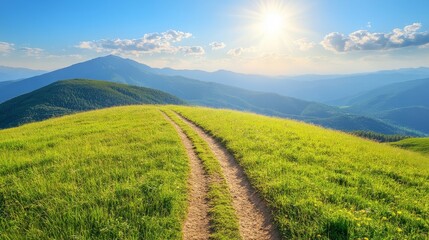 Naklejka premium Sunlit Mountain Path Winding Through Verdant Meadows Towards Distant Peaks