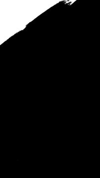 Paint brush transition Fast Abstract stroke black and white background, vertical