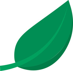 Nature Flow Organic Art and Design