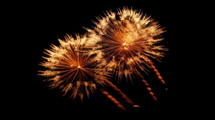 Obraz premium Two fireworks are lit up in the dark sky. The fireworks are orange and white and are lit up in the night sky