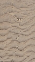 dunas do rosado em areia branca, rio grande do norte