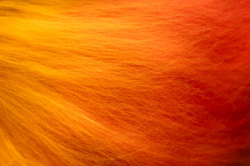 Vibrant gradient wool texture in striking. Felting process. Laying out the wool fibers. Perfect for backgrounds, artistic compositions. Copy space