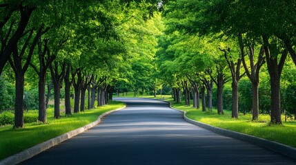 Obraz premium Vibrant Summer Landscape of an Empty Asphalt Road Surrounded by Trees