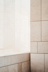 White wall with a brick wall next to it. The brick wall has a pattern of small squares, and the white wall is plain