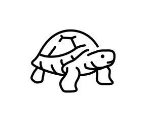 turtle editable stroke single line icon design. pixel perfect vector icon. perfect icons for mobile and web on white background
