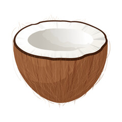Half of coconut showing white flesh and brown hairy shell on white background