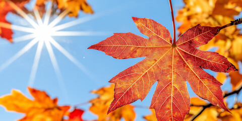 Golden Autumn Leaves in Warm Sunlight