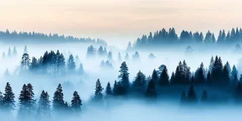 Misty Pine Forest with Foggy Atmosphere