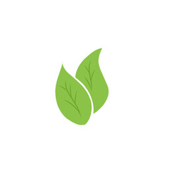 green leaf vector design