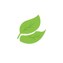 green leaf vector design