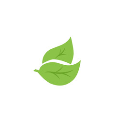 green leaf vector design